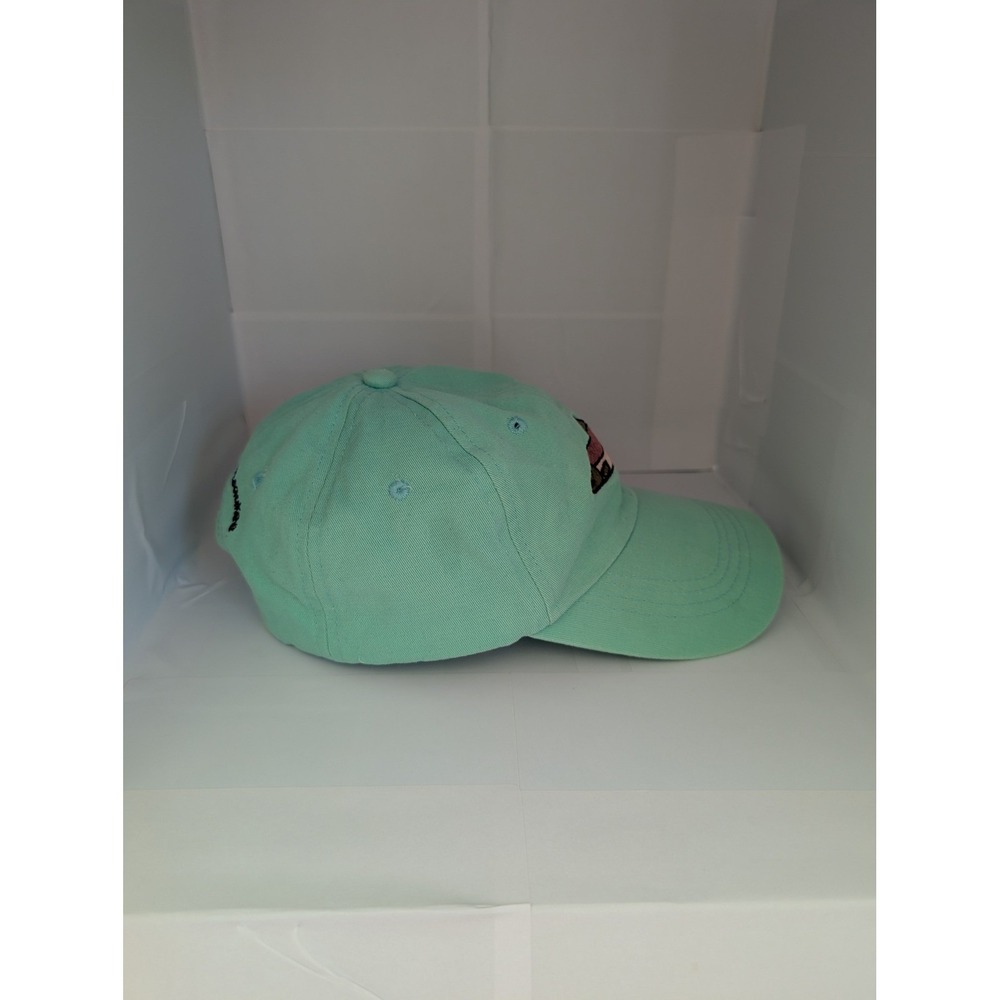 Julie + Joe Baseball Hat Toddler Boy Lake Winnipesaukee Fish Snapback Green 1-2T - Picture 3 of 13